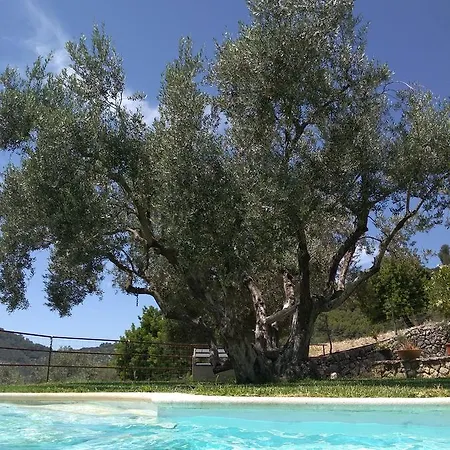 Holiday home Casa Montaura Mancor del Valle